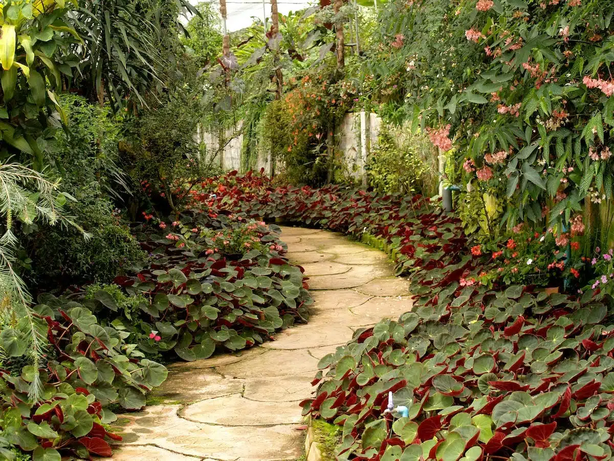 jardin aménagement