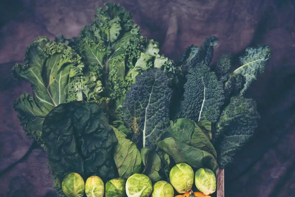 potager  rotation