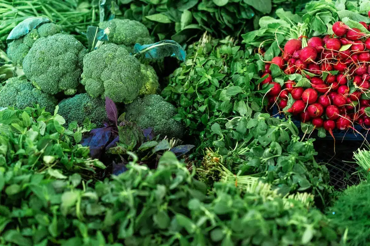 potager  plantes
