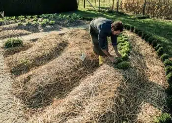 Comment créer des jardins écologiques