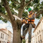 Élagueur professionnel en hauteur dans un arbre à La Rochelle avec équipements de sécurité complets