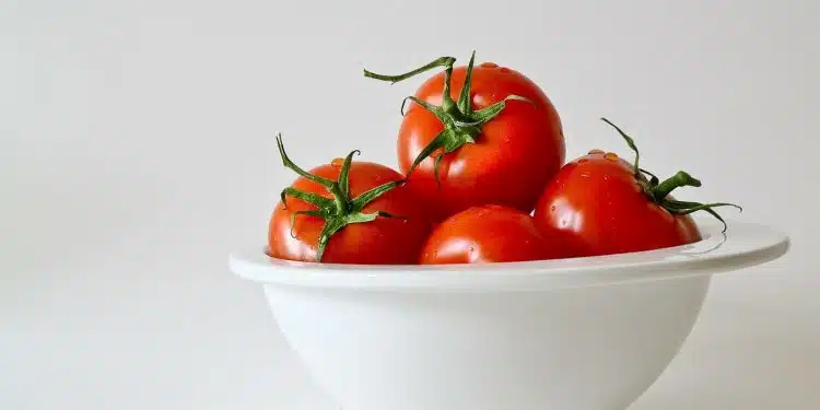 Influence de la lune sur les plantations de tomates