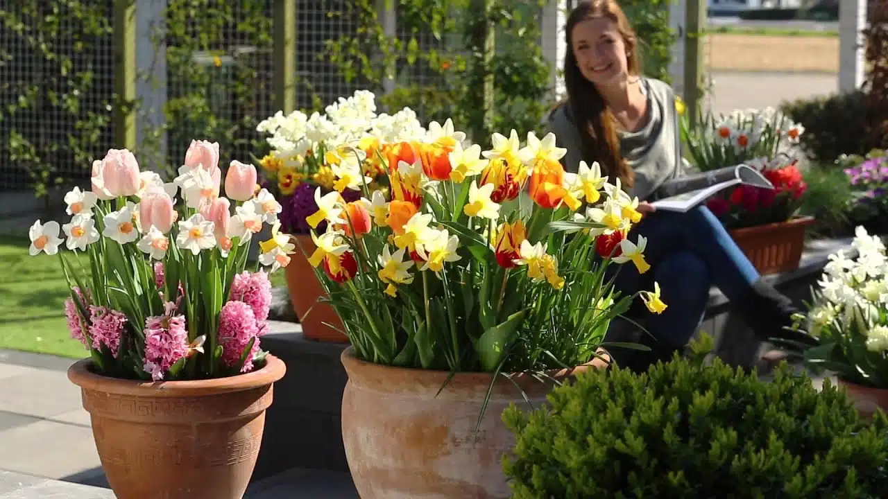 planter des bulbes de fleurs